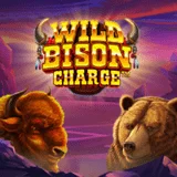 Bocoran RTP Slot Pragmatic Wild Bison Charge